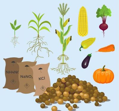 關于肥料的那些套路都在這里了