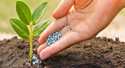 超實用!農作物肥料進口清關流程以及單證資料