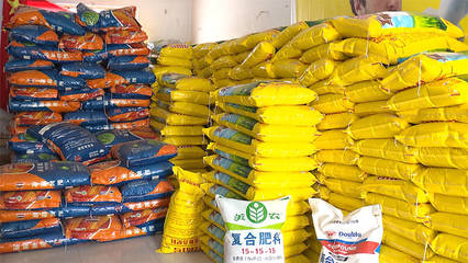 嚴查假種子、假肥料&hellip;德州各地開展農資市場專項檢查,為春耕生產保駕護航