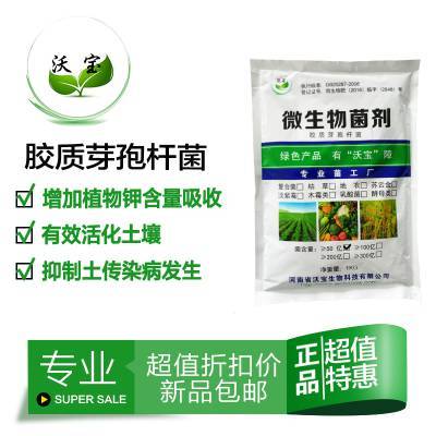 膠凍樣芽孢桿菌膠質(zhì)菌有機肥料生物拌種蘸根基肥硅酸鹽細菌鉀菌株1kg沃寶生物