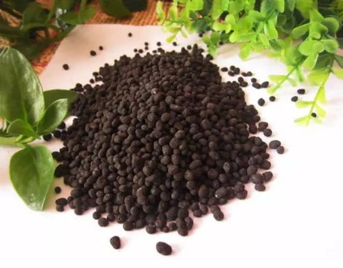 這些施肥雷區一定要注意 避開這15個誤區